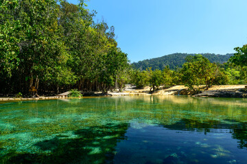 Tourist Information sign translation Thai text "No Swimming and No Jumping" at Emerald Pool, Khlong Thom, Krabi, Thailand.