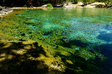 Beautiful yellow and green colors mineral water pond is surrounded by rainforest, Emerald Pool, Khlong Thom District, Krabi, Thailand.