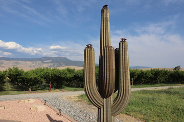Closeup shot of a metal cactus in a park under a blue cloudy sky - Powered by Adobe