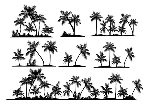 Strip of palm trees. silhouette. vector. eps