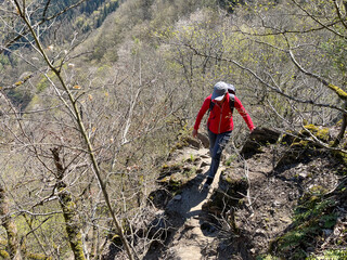 In der Rheinlandpfalz im Frühling