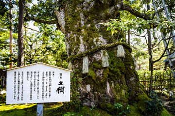 天橋立、知恩寺周辺の情景
