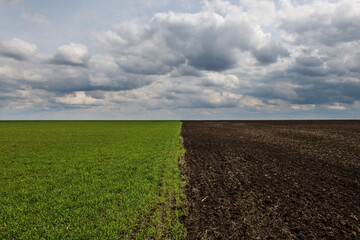a straight line divides the field in half, one half black, the other green