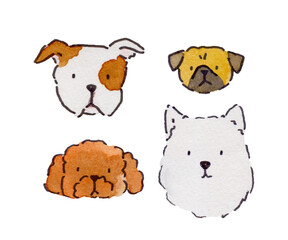 set of dog breeds watercolor illustration Poodle Pug Pitbull Samoyed 