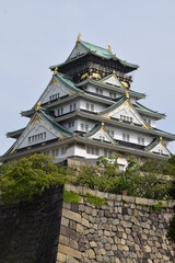 Fototapeta premium 大阪城天守閣