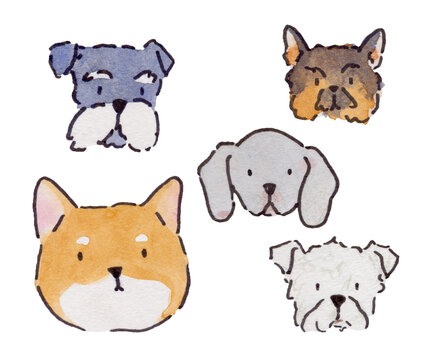 dog breeds watercolor illustration cartoon 