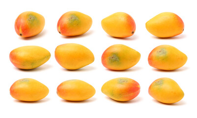 Mango on a white background