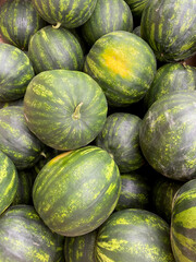 large number of green watermelon with close-up