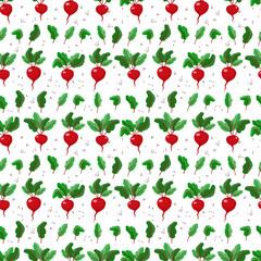 seamless pattern with beets and leaf. beet. vegetable pattern for kitchen textiles. stock vector illustration isolated on white background.