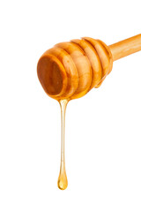 close up of honey dripping from honey dipper on white background.