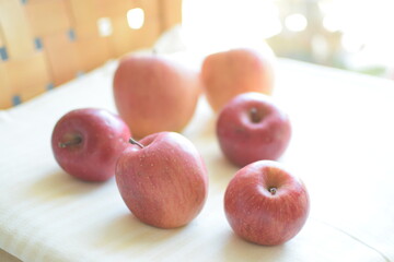 apple　lack of uniformity
ふぞろいのリンゴ