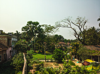 Green village with trees, beautiful background with sky, wonder nature with small forest