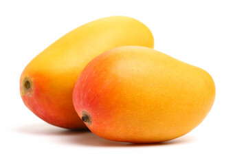 mangos on a white background 