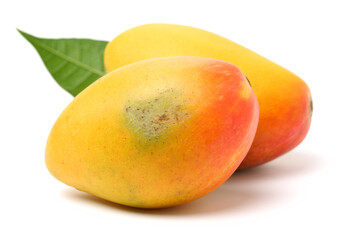 mangos on a white background 