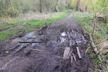Bad dirt road in the forest with puddles and mud. Walking path of wooden planks crossing a swamp