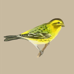 Calm watercolor bird. Poster on the wall in the bedroom or nursery. Yellow exotic bird on a branch. Light background.