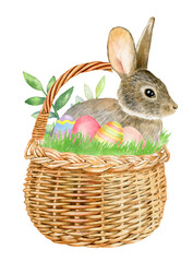 Watercolor illustration with rabbit in basket, hand drawn clipart isolated on white background.
