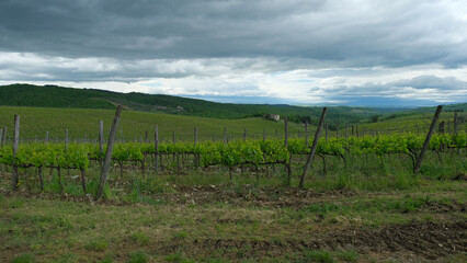 Fototapeta premium La campagna nella regione vinicola del Chianti in provincia di Siena, Toscana.