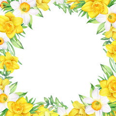 Watercolor square frame with yellow and white daffodils on white background. Botanical hand drawn template for cards, invitations, any print design.