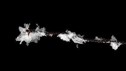 A branch in frost on a black background