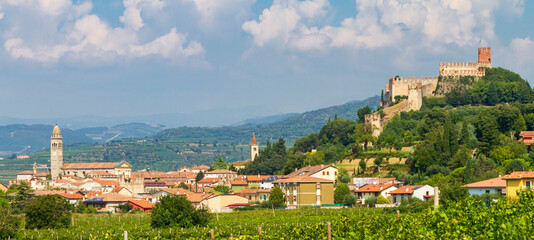 View of Soave's castle near Verona