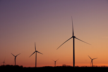 champ d'éoliennes devant un coucher de soleil