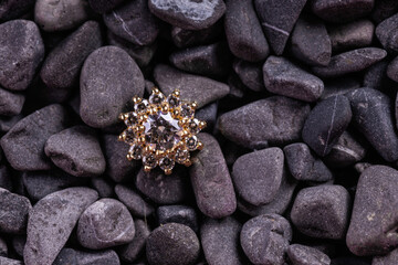 Beautiful piercing jewelry. Macro shot. Selective focus.
