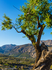 Rocky mountains landscape, Spain