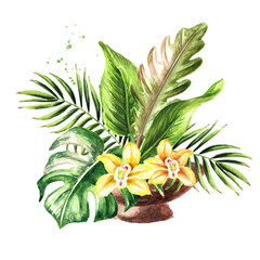 Fototapeta na wymiar Leaves and flowers of exotic tropical or jungle plants bouquet in the ceramic vase. Watercolor hand drawn illustration, isolated on white background