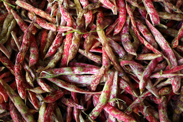 Lots of fresh pinto beans on grocery shelf.