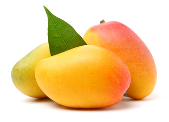 mangos on a white background 