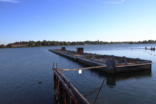 banter see common tern colony