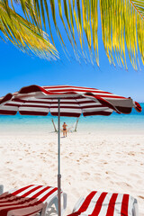 plage paradisiaque avec cocotiers, parasol, transats, hamac et lagon turquoise  - obrazy, fototapety, plakaty