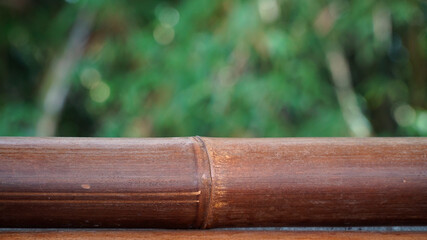 Bamboo stalks in dark brown color with blurred bamboo leaf background. Can be a design background material