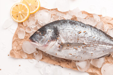 Raw dorada fish or gilt-head bream on ice with lemon and salt over white background, flat lay, top view