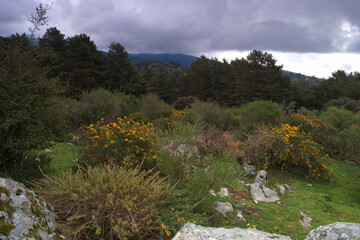 Góry krajobraz niebo chmury widok natura hiszpania cercedilla