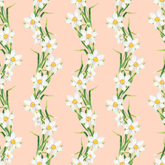 Watercolor floral seamless pattern with Narcissus flowers. Hand painted white daffodils on pastel pink background. Spring flowers, elegant feminine design for textile, fabrics, wrapping, scrapbook.