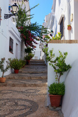 Fototapeta na wymiar Beautiful street in Frigiliana, Andalusia, Spain
