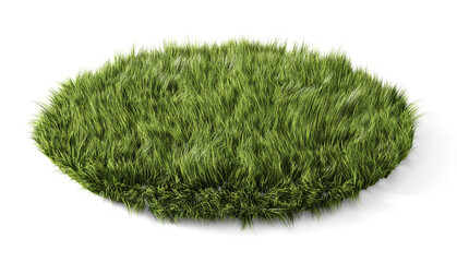 Round glade with green grass on white background. 3d illustration