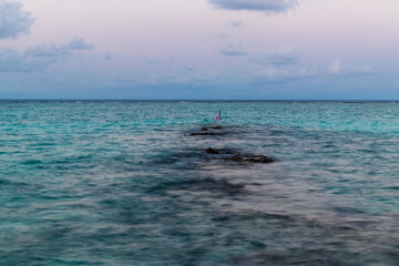 Flag indicating stranded close to shore. Nature