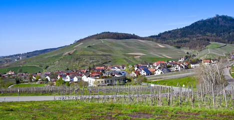 Fototapeta na wymiar View of the vineyards near Neuweier and the Yburg Castle near Baden Baden. Baden Wuerttemberg, Germany, Europe