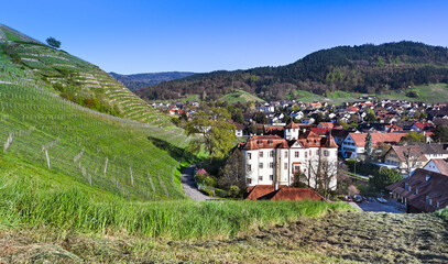 The beautiful Schloss Neuweier winery between Sinzheim and Buehl. Baden Wuerttemberg, Germany,...