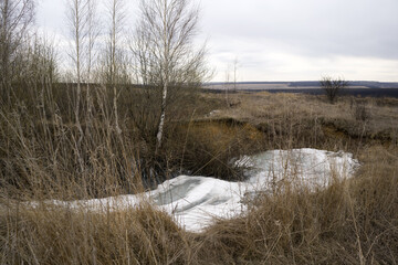 spring landscape: trees, dry grass, snow