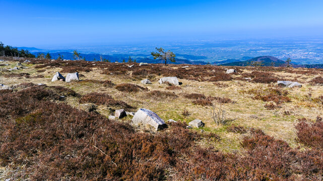 View from the Hornisgrinde mountain over the high moor in the Rhine Valley to the city Achern. Baden Wuerttemberg, Germany, Europe