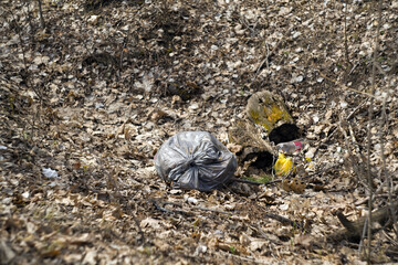 garbage bag among the autumn foliage. environmental pollution.