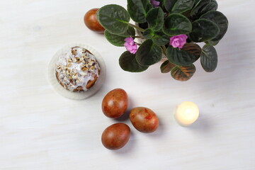 Easter cake, colored eggs, blooming home plant, burning candle on white background