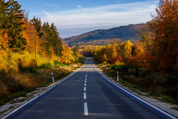 Fototapeta premium autumn in the mountains