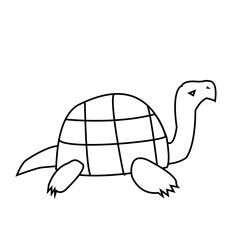 Outline image of a funny turtle on a white background