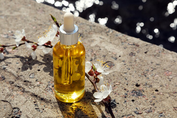 A bottle with a cosmetic serum and a sprig of blossoming apricot on a natural background. Sunlight, selective focus, natural cosmetics. Body and face care. 