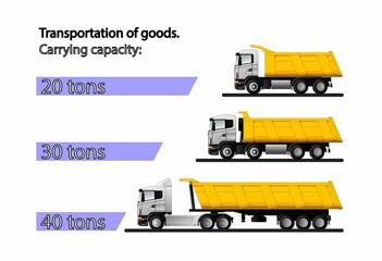 Infographics of the carrying capacity of dump trucks for the transportation of bulk cargo with a carrying capacity of 20, 30 and 40 tons.